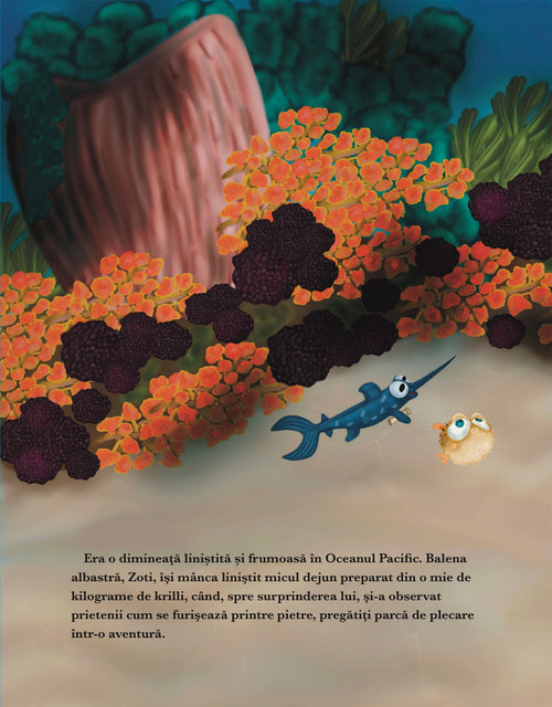 Carte Zoti, Călătoria unei balene